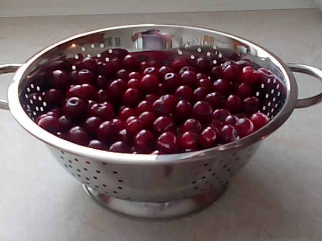 OMEZENÍ PROVOZU V DOBĚ LETNÍCH PRÁZDNIN