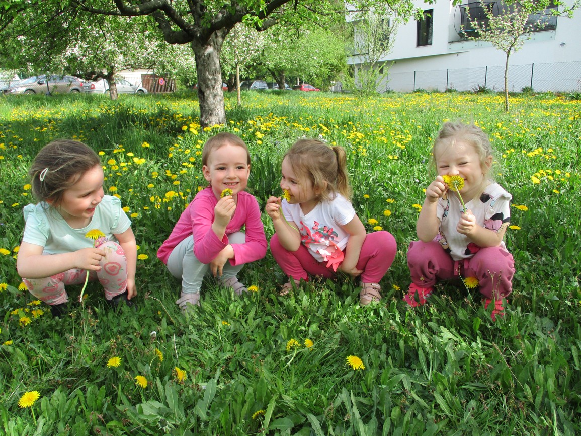 HODY, HODY, DOPROVODY…