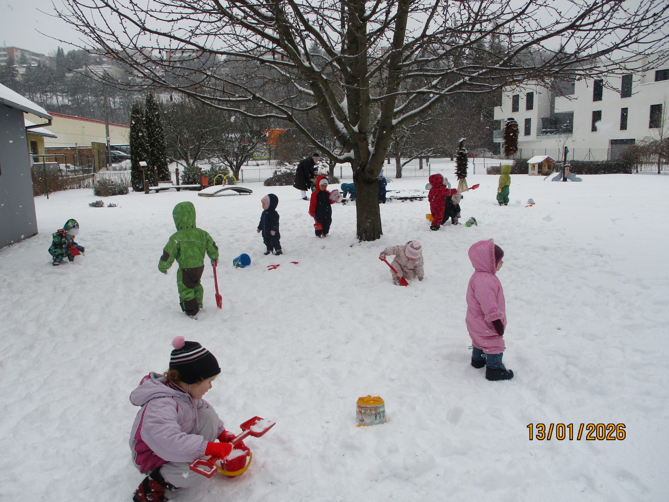 Zimní radovánky – Leden 2026