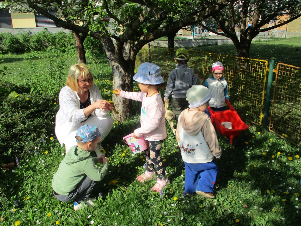 ROSTE, ROSTE KYTIČKA…