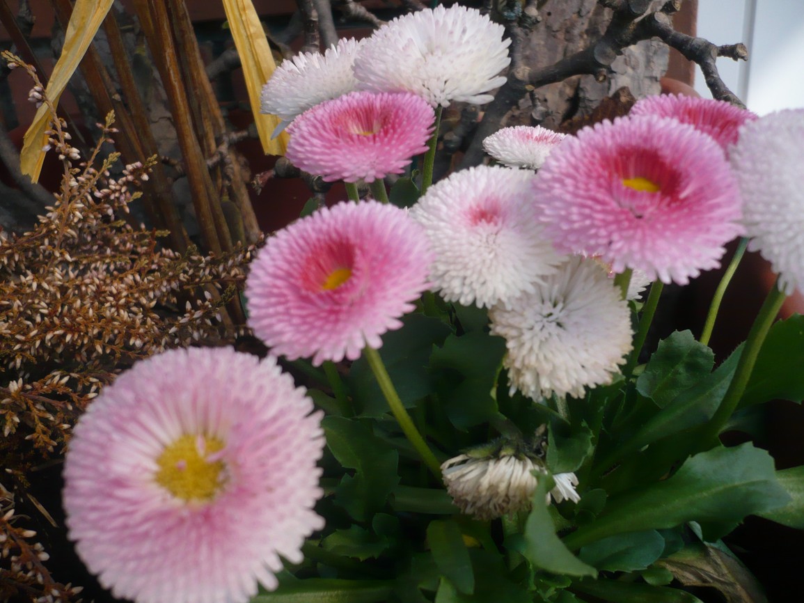 PRÁCE S DĚTMI V MĚSÍCI DUBNU